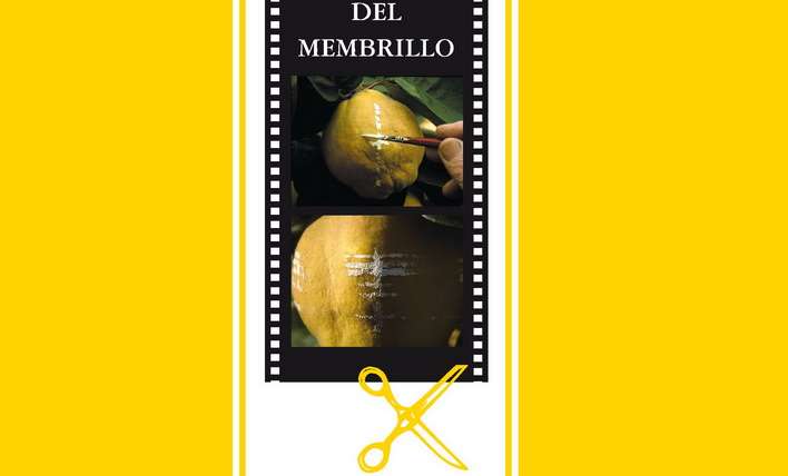 El sol del membrillo